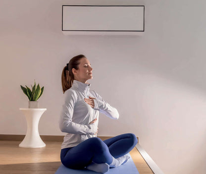 Wilms Muur Ventilatie