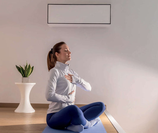 Wilms Muur Ventilatie